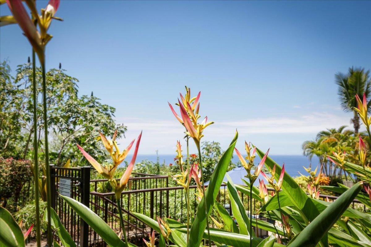 Kona Westwind 1 New! Quiet Ocean-View 1St Floor | Patio | Pool Villa Kailua-Kona Eksteriør billede