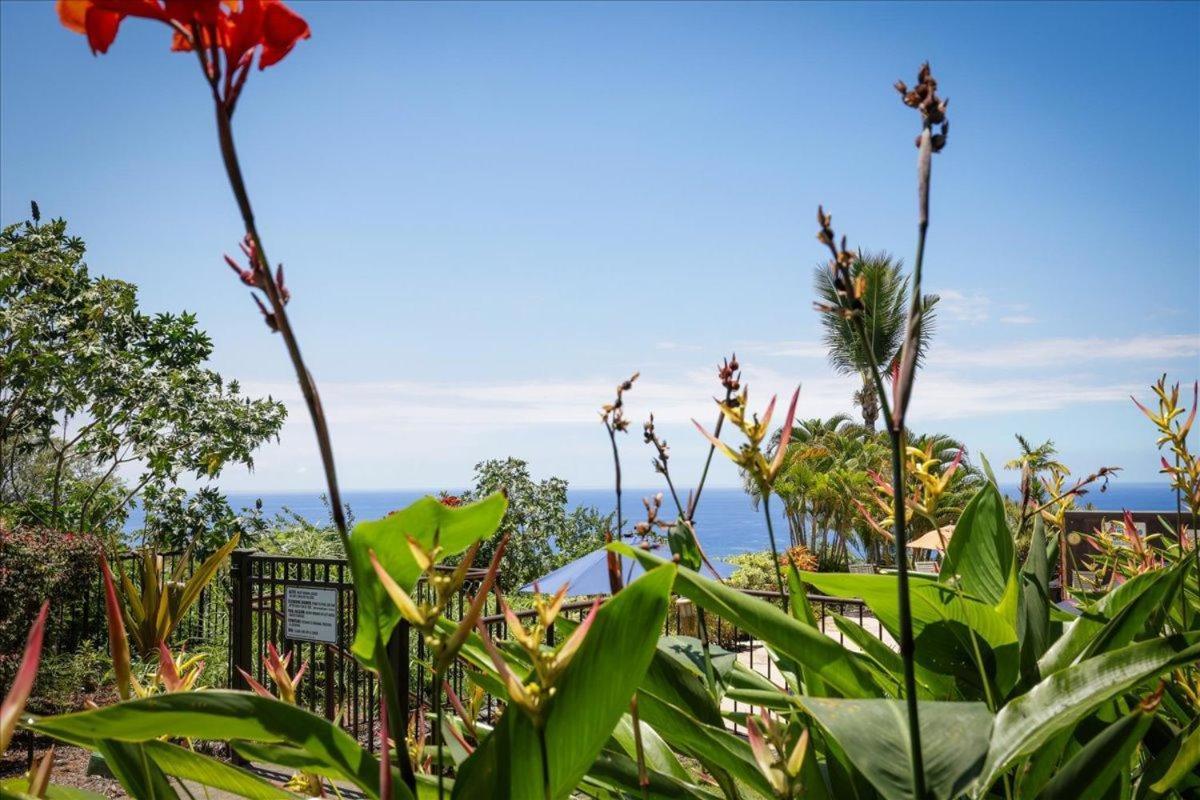 Kona Westwind 1 New! Quiet Ocean-View 1St Floor | Patio | Pool Villa Kailua-Kona Eksteriør billede